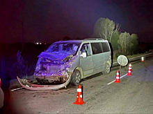 Под Неманом корова попала под колёса машины, но пострадали пассажирки авто