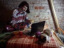 Калининградка продала квартиру, чтобы открыть хоспис для кошек