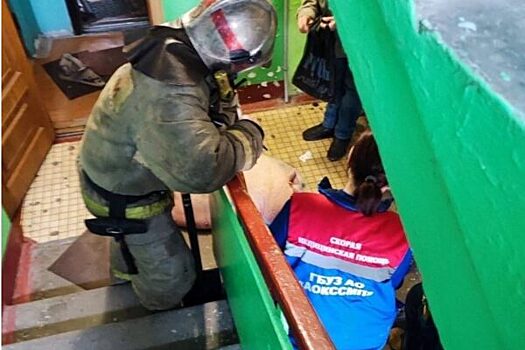 Из квартиры в Архангельске пожарные спасли огромную свинью