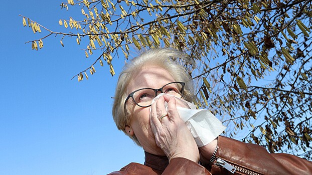Началась третья фаза клинических испытаний вакцины от аллергии на березу