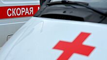 В Ростовской области три ребенка пострадали в ДТП
