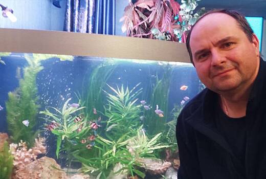 Житель Щукина поделился советами по обустройству аквариума в домашних условиях