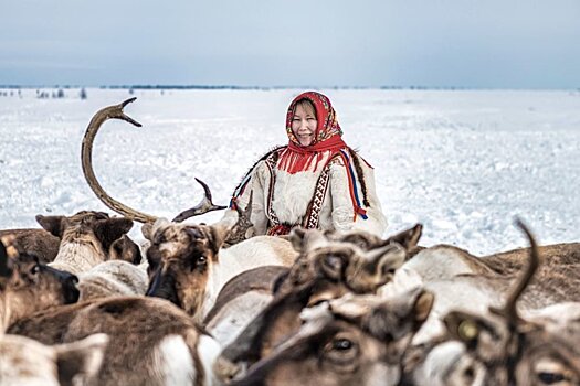 Тундровики на Ямале получат дополнительные "кочевые" выплаты