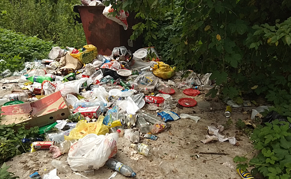 В Курской области поймали водителя на попытке выбросить строительный мусор