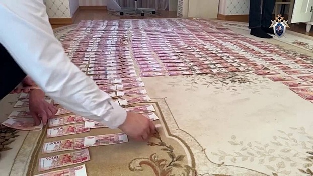 Опубликовано видео обысков у гендиректора «Нижавтодорстроя» Усика Петросяна