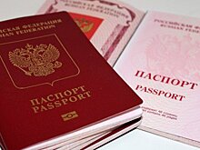Биометрия может заменить паспорт по всему миру