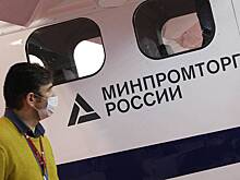 Минпромторг обновил перечень товаров для параллельного импорта в РФ