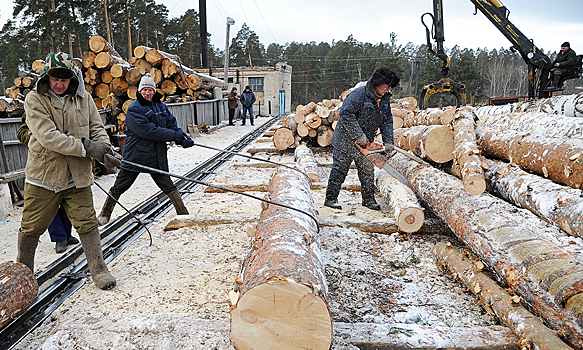 В России могут начать строить деревянные девятиэтажки