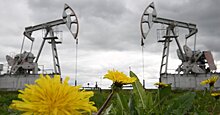 Der Tagesspiegel (Германия): как Россия хочет избавиться от зависимости от нефти