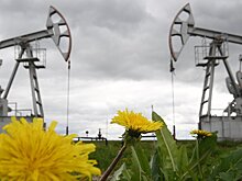 Der Tagesspiegel (Германия): как Россия хочет избавиться от зависимости от нефти