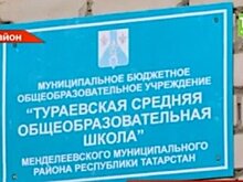 В селе Тураево Менделеевского района единственная школа находится в аварийном состоянии — видео