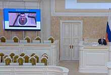 Российские депутаты на заседании посмотрели видео о приключениях унитазов