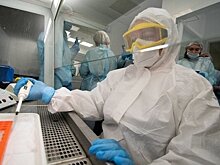 День в истории: день санитаров и фанатов Майкла Джексона