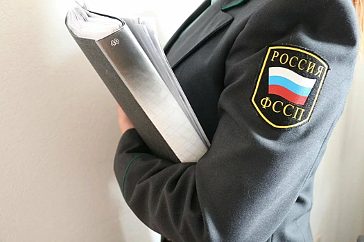 В России предложили ввести ограничения на арест недвижимости за несущественные долги