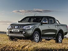 Столичный рынок пикапов сократился наполовину