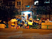 Россиян с мотоциклом и 20 кошками со скандалом выселили на улицу