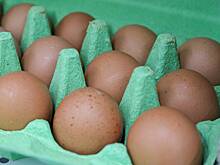 Описано влияние поставок из Турции на цены на яйца