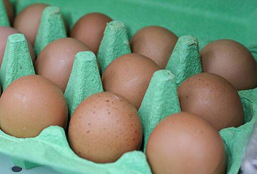 Описано влияние поставок из Турции на цены на яйца