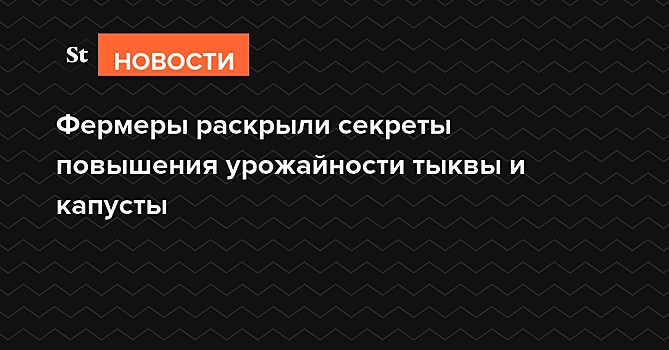 Фермеры раскрыли секреты повышения урожайности тыквы и капусты