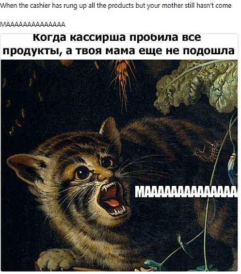 Снова котики.