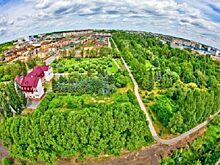 Пресс-конференция «Дендросад в центре внимания». ПРЯМАЯ ТРАНСЛЯЦИЯ