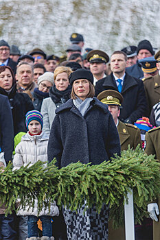 Предновогодняя пурга эстонских политиков