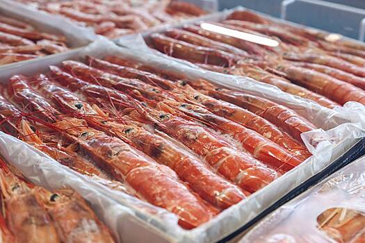 Россия купила креветок на десятки миллионов долларов у страны БРИКС