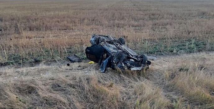 Пострадали двое: на донской трассе опрокинулся автомобиль