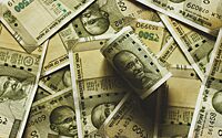 Зависшие в Индии российские рупии предложили инвестировать в местные акции
