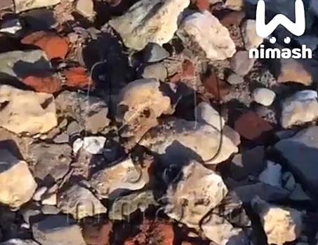 Стало известно, откуда на пляже в Чкаловске появились человеческие кости