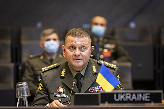 Экс-министр госбезопасности: на место главкома ВСУ может прийти главный враг ДНР