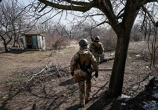 Стало известно об участившихся случаях распития алкоголя украинскими военными