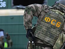 ФСБ: Хакерская группировка Lurk прекратила существование