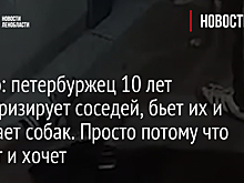 Отравитель несколько лет подряд убивает породистых собак в пригороде Челябинска