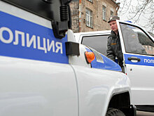Грабитель с пистолетом отобрал у москвича 200 тысяч рублей