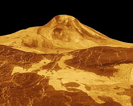 Новосибирские ученые заметили жизнь на Венере