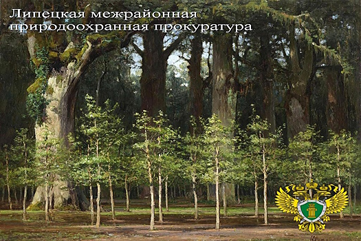 Липецкая прокуратура проверила соблюдение закона в ходе реализации проекта «Сохранение лесов»