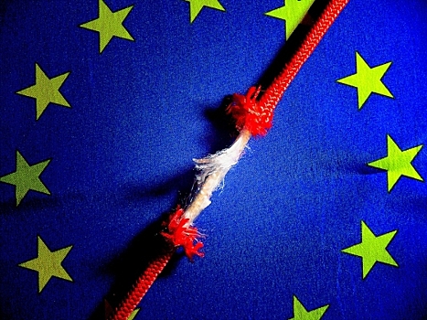 Главной проблемой ЕС остается сама еврозона – Кагарлицкий
