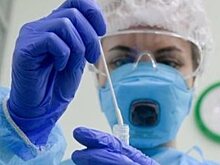 В Костромской области за сутки выявлено 53 случая COVID-19