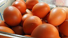 Сахар и куриные яйца подешевели в Нижегородской области