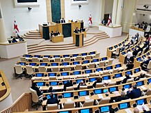Депутаты парламента Грузии устроили потасовку из-за авиасообщения с РФ