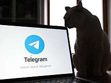 РКН сообщил, что ему нечего добавить к данным о блокировке Telegram