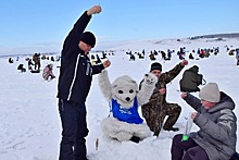 «Южноуральский лед» объединил сотни любителей зимней рыбалки