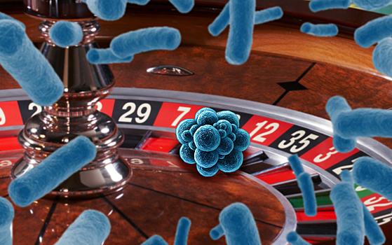 Лекторий МГУ им. М.В. Ломоносова: играют ли микробы в рулетку?