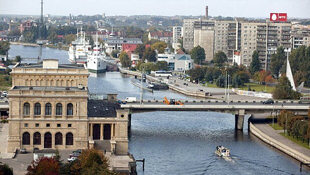 Мощи князя Владимира привезут в Калининград