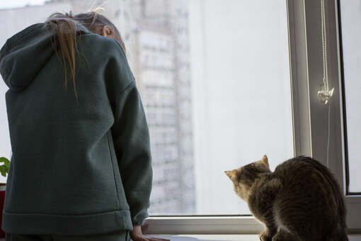 NGS70.RU: в Томске девочка не выжила, выпав из окна