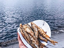 В Петербурге прошел фестиваль корюшки (пожарили около полутора тонн!)