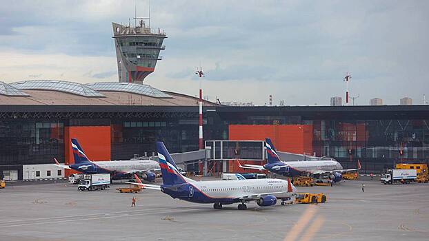 В аэропортах Москвы более 100 рейсов задержаны или отменены
