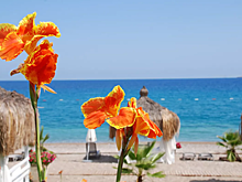 Цены на туры в Турцию рухнули