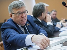 Сенатор рассказал, как могут изменить пенсионные поправки ко второму чтению